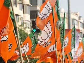 गोवा जिला पंचायत चुनावों में भाजपा ने 49 में से 32 सीटें जीतीं