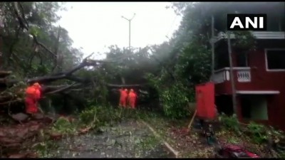 गोवा एनडीआरएफ की टीम मडगांव के मोंटे हिल इलाके में गिरे पेड़ों को काटकर सड़कों से हटा रही है 